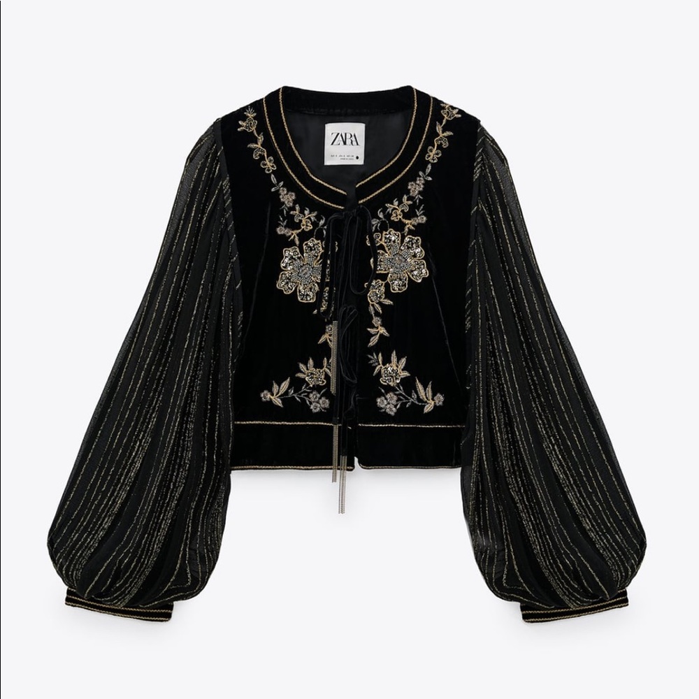 ZARA Embroidered Velvet Jacket - Picture 5 of 8